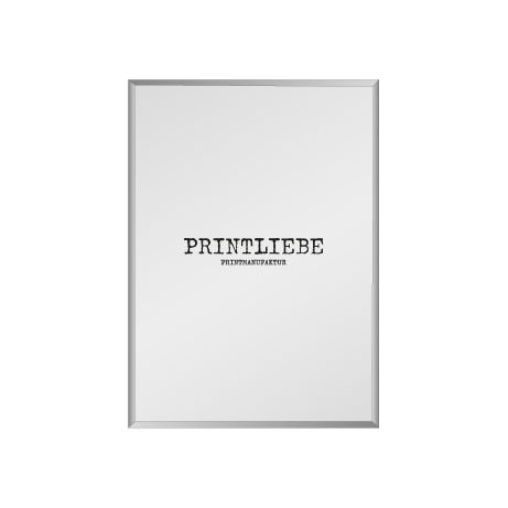 Rahmen- & Schildersysteme